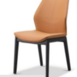 Dining Chair Model 242 - Golden Lantern Furniture